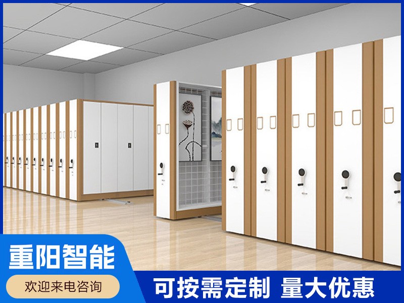 巴彥淖爾掛畫密集柜